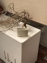 Yoko Holder