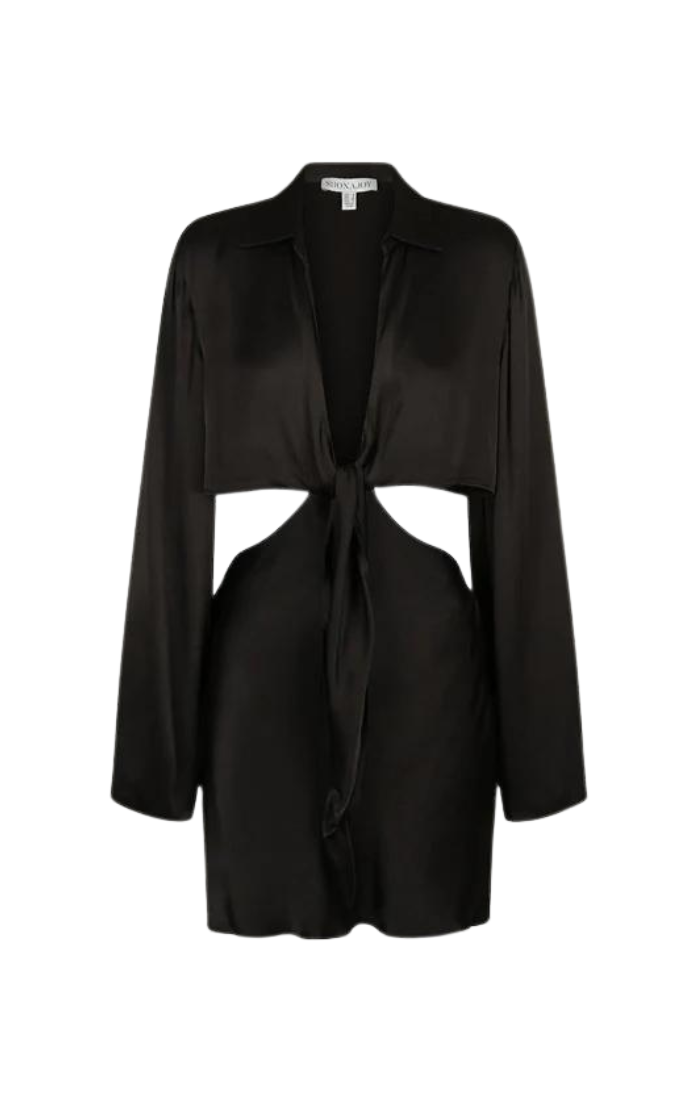 Oliviera Long Sleeve Tie Front Mini Dress - Black BLVD Oliviera Long Sleeve Tie Front Mini Dress - Black BLVD