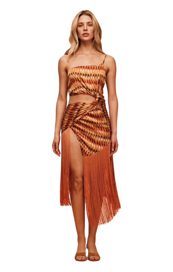 Shivani Dress