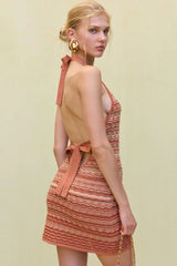 Erina Knit Dress - Multi