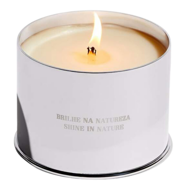 Vela Candle - Jungle - BLVD
