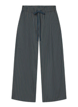 James Pant - Carbon Blue Multi