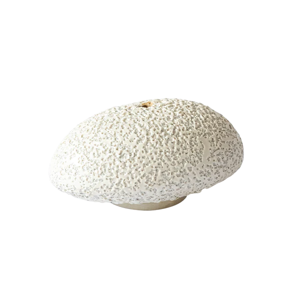 Oval Incense Holder - Lava + Bone