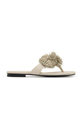 Urchin Slide - Parchment - BLVD