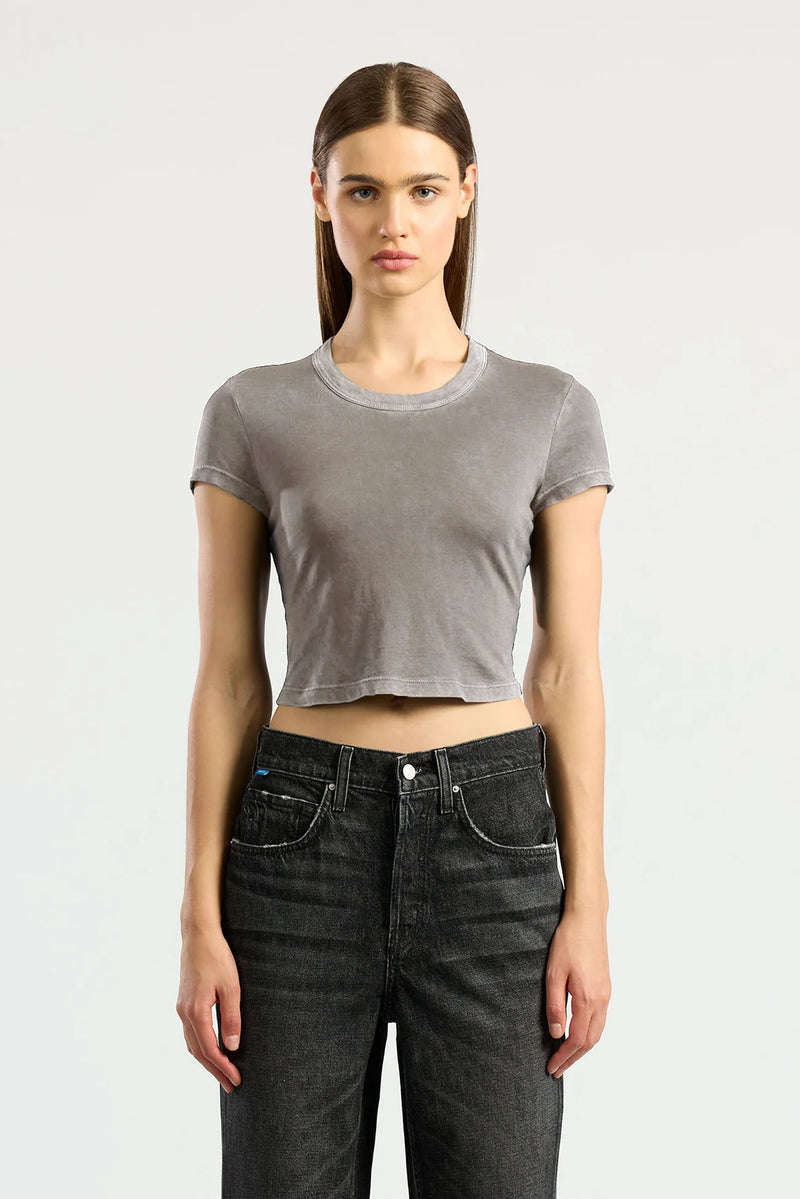 Standard Baby Tee - Vintage Dove
