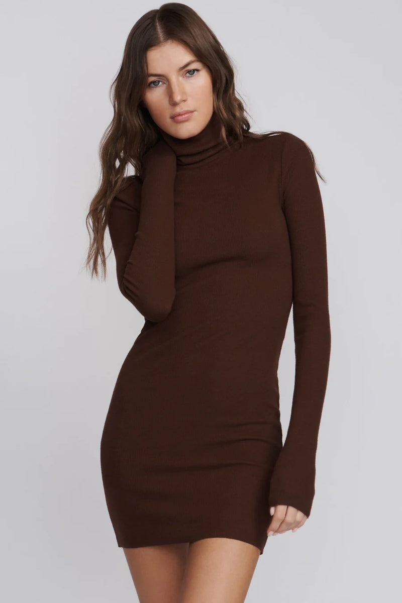 Long Sleeve Turtleneck Dress Mini - Chocolate