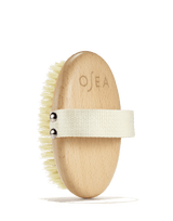 Plant Based Body Brush - BLVD